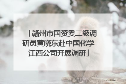 赣州市国资委二级调研员黄晓东赴中国化学江西公司开展调研
