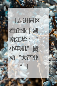 走进园区看企业｜湖南江华：“小电机”撬动“大产业”