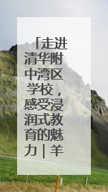 走进清华附中湾区学校，感受浸润式教育的魅力｜羊城名校行