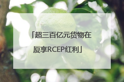 超三百亿元货物在厦享RCEP红利