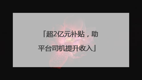 超2亿元补贴，助平台司机提升收入