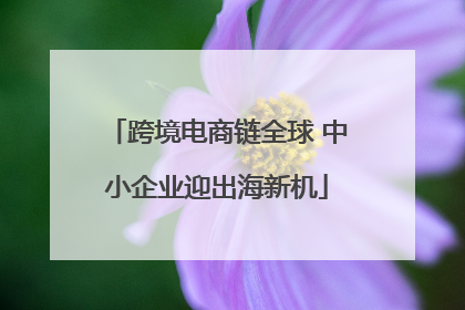 跨境电商链全球 中小企业迎出海新机