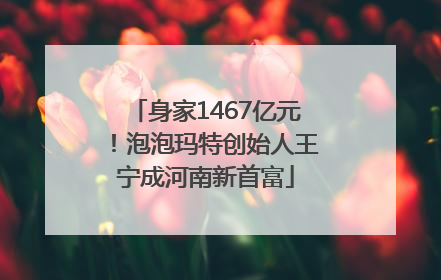 身家1467亿元！泡泡玛特创始人王宁成河南新首富