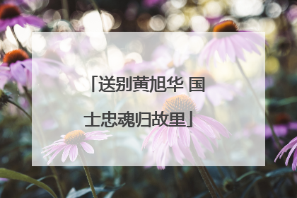 送别黄旭华 国士忠魂归故里