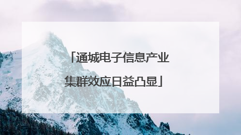 通城电子信息产业集群效应日益凸显