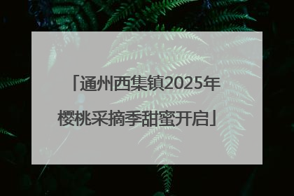 通州西集镇2025年樱桃采摘季甜蜜开启
