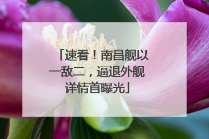 速看！南昌舰以一敌二，逼退外舰详情首曝光