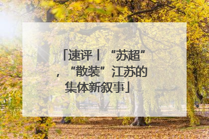速评丨“苏超”，“散装”江苏的集体新叙事