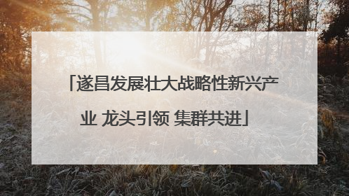 遂昌发展壮大战略性新兴产业 龙头引领 集群共进