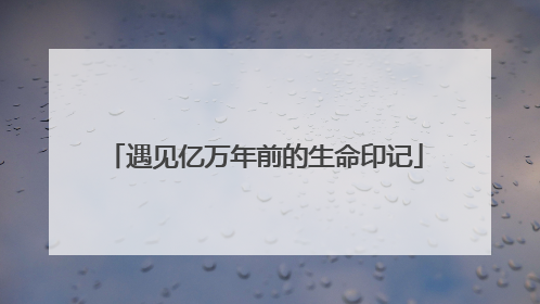遇见亿万年前的生命印记