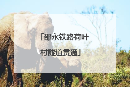 邵永铁路荷叶村隧道贯通