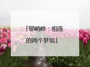 邬峭峰：相连的两个梦境