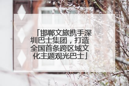 邯郸文旅携手深圳巴士集团，打造全国首条跨区域文化主题观光巴士