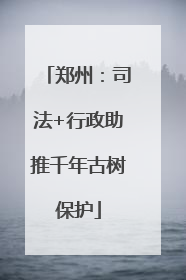郑州：司法+行政助推千年古树保护