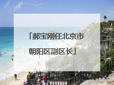 郝宝刚任北京市朝阳区副区长