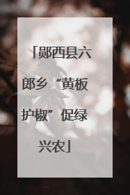 郧西县六郎乡“黄板护椒”促绿兴农