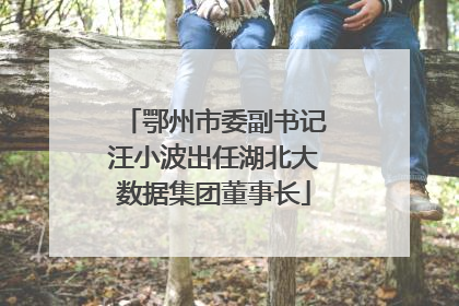 鄂州市委副书记汪小波出任湖北大数据集团董事长