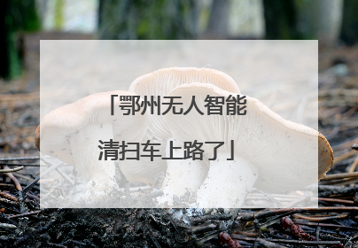 鄂州无人智能清扫车上路了