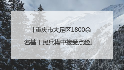 重庆市大足区1800余名基干民兵集中接受点验