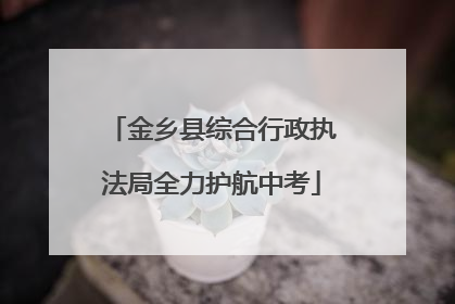 金乡县综合行政执法局全力护航中考