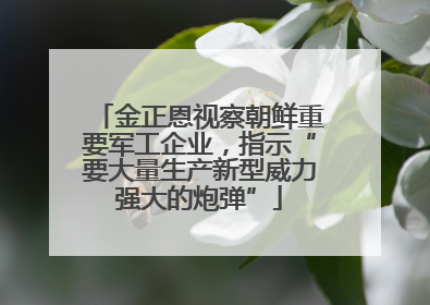 金正恩视察朝鲜重要军工企业，指示“要大量生产新型威力强大的炮弹”
