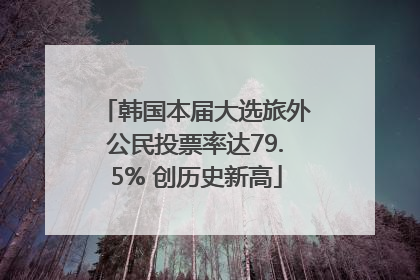 韩国本届大选旅外公民投票率达79.5% 创历史新高