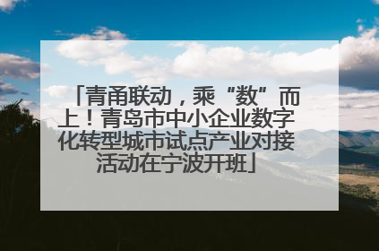 青甬联动，乘“数”而上！青岛市中小企业数字化转型城市试点产业对接活动在宁波开班
