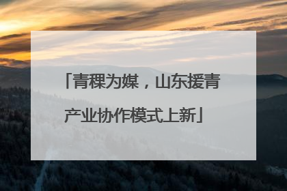 青稞为媒，山东援青产业协作模式上新