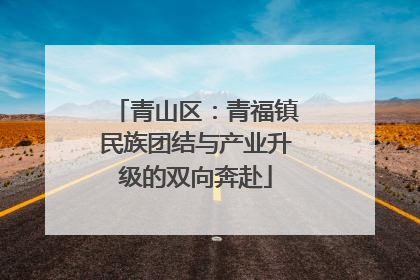 青山区：青福镇民族团结与产业升级的双向奔赴