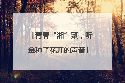 青春“湘”聚，听金种子花开的声音