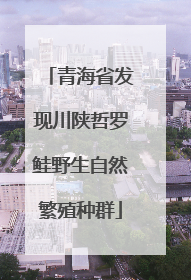青海省发现川陕哲罗鲑野生自然繁殖种群