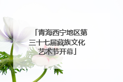 青海西宁地区第三十七届藏族文化艺术节开幕