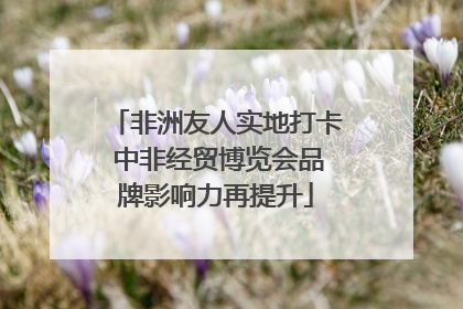 非洲友人实地打卡 中非经贸博览会品牌影响力再提升