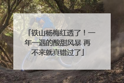 铁山杨梅红透了！一年一遇的酸甜风暴 再不来就真错过了