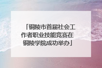 铜陵市首届社会工作者职业技能竞赛在铜陵学院成功举办