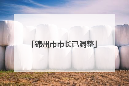 锦州市市长已调整