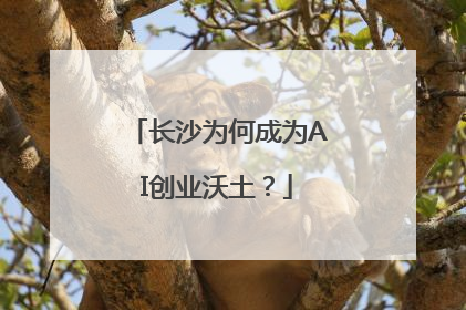 长沙为何成为AI创业沃土？