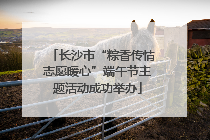 长沙市“粽香传情志愿暖心”端午节主题活动成功举办