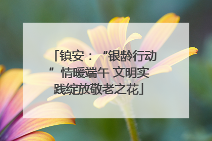 镇安：“银龄行动”情暖端午 文明实践绽放敬老之花