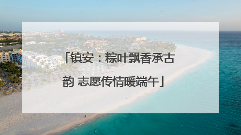 镇安：粽叶飘香承古韵 志愿传情暖端午