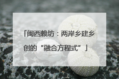 闽西赖坊：两岸乡建乡创的“融合方程式”