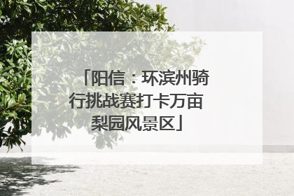 阳信：环滨州骑行挑战赛打卡万亩梨园风景区