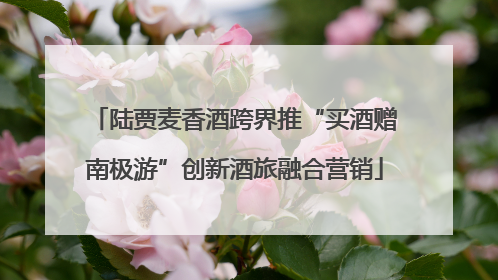 陆贾麦香酒跨界推“买酒赠南极游”创新酒旅融合营销