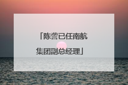 陈詟已任南航集团副总经理