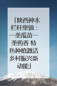 陕西神木栏杆堡镇：一垄瓜苗一垄药香 特色种植激活乡村振兴新动能