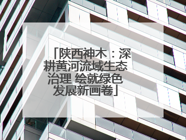 陕西神木：深耕黄河流域生态治理 绘就绿色发展新画卷