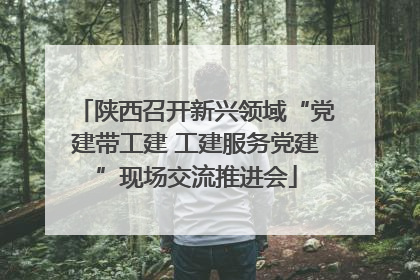 陕西召开新兴领域“党建带工建 工建服务党建”现场交流推进会