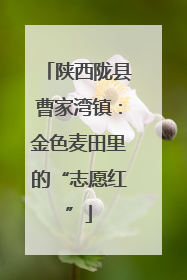 陕西陇县曹家湾镇：金色麦田里的“志愿红”