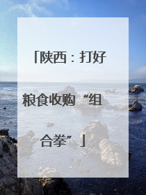 陕西：打好粮食收购“组合拳”