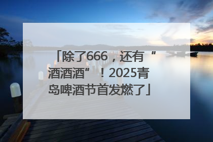 除了666，还有“酒酒酒”！2025青岛啤酒节首发燃了